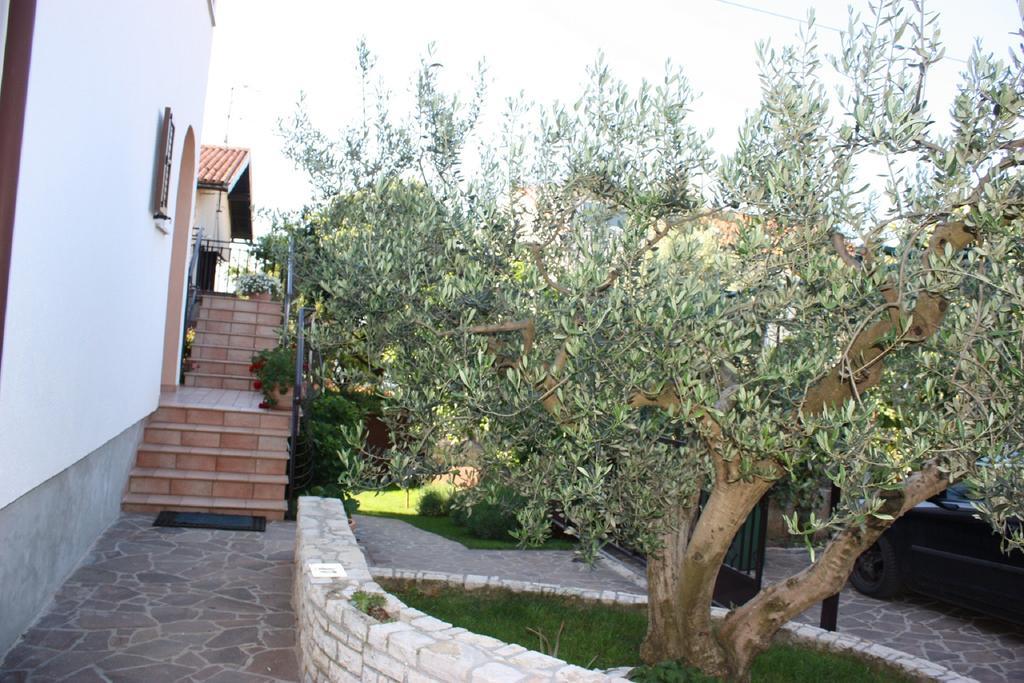 Apartments Mirela Novigrad Istria Exterior foto
